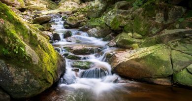 Молочный водопад,  Абхазия (Водопад влюбленных)